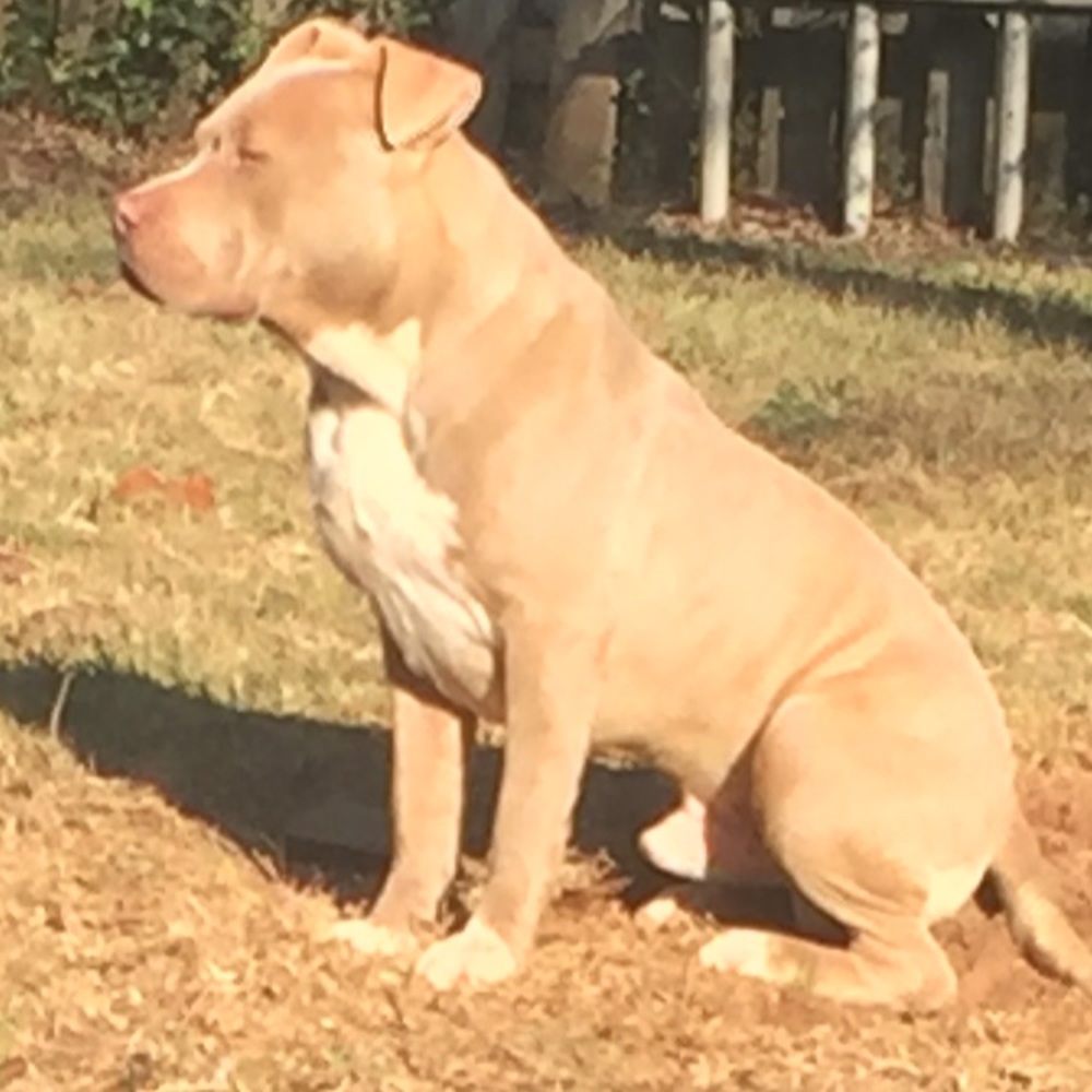 Meet your Posher, Keaston